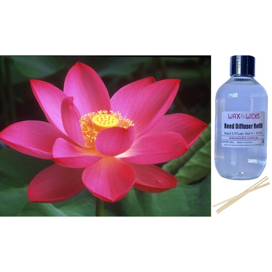 Lotus Blossom - Reed Diffuser Refill 