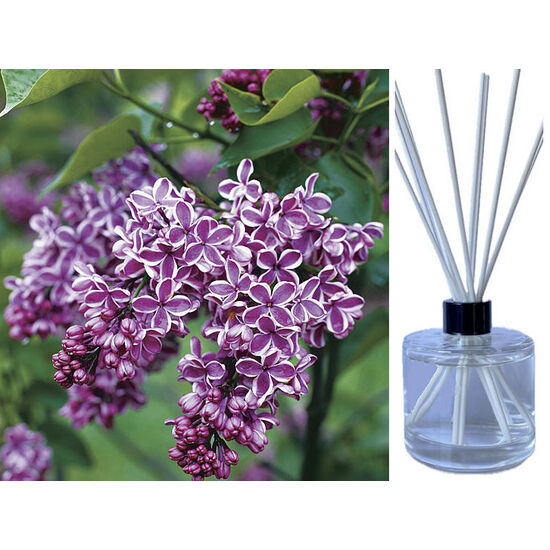 French Lilac - Reed Diffuser