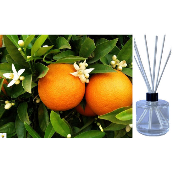 Orange Blossom - Reed Diffuser