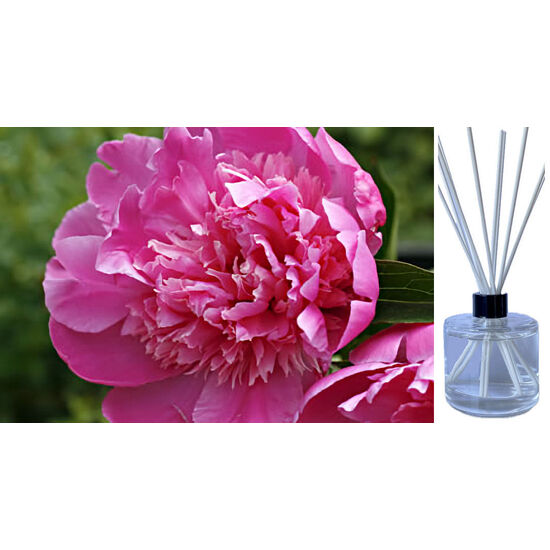 Peony Rose - Reed Diffuser