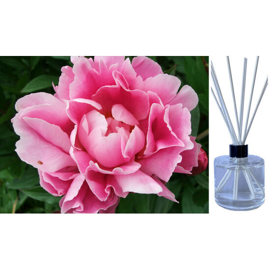 Pink Peony - Reed Diffuser