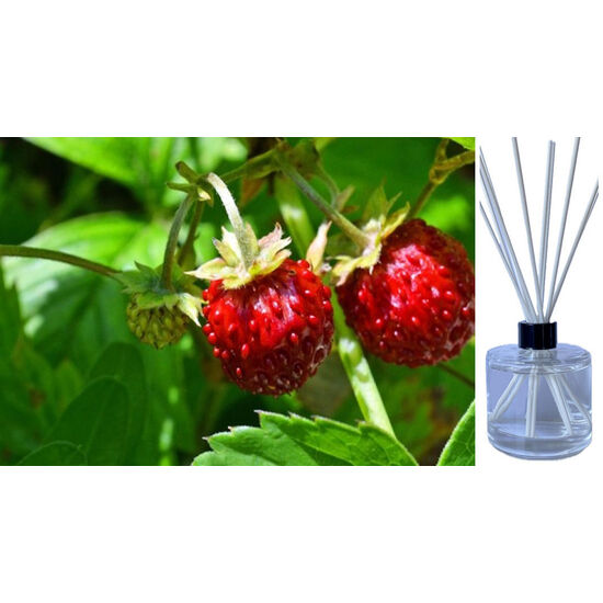 Wild Strawberry - Reed Diffuser