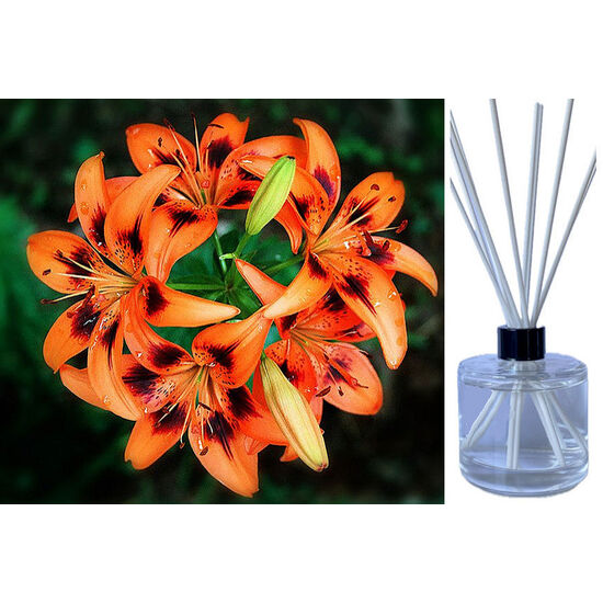 Tigerlily Blossom - Reed Diffuser