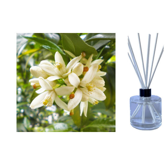 Neroli & Ylang Ylang - Reed Diffuser