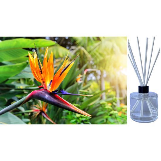 Birds of Paradise - Reed Diffuser