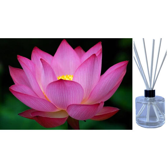 Lotus Flower - Reed Diffuser