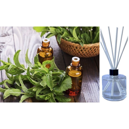 Peppermint & Eucalyptus - Reed Diffuser