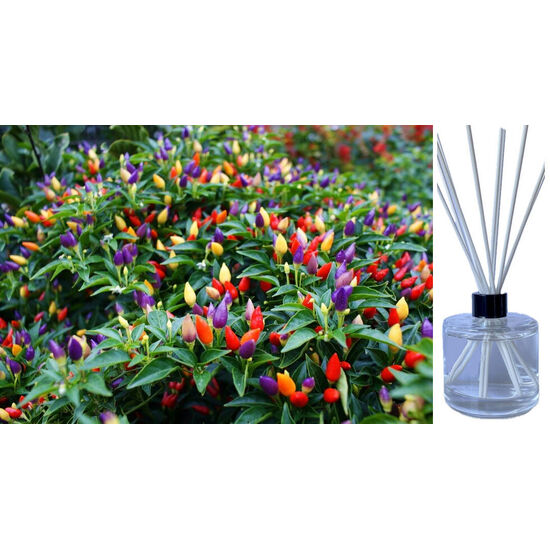 Rainbow Pepper - Reed Diffuser