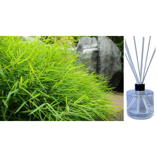 Australian Bamboo Grass - Reed Diffuser