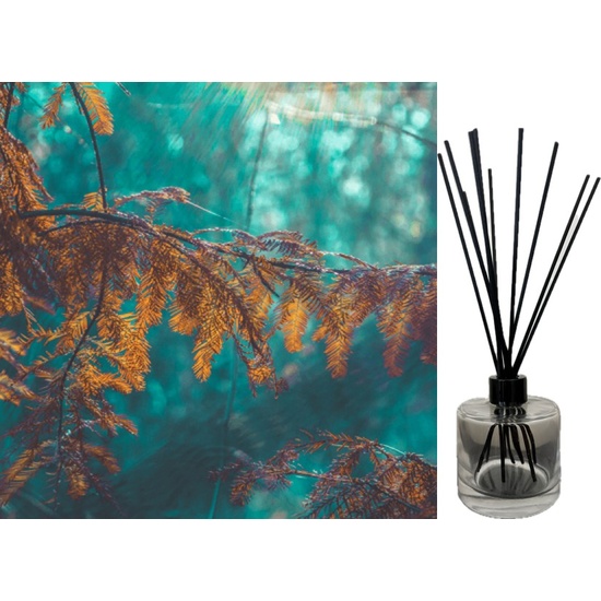 Blue Cypress & Jasmine - Reed Diffuser