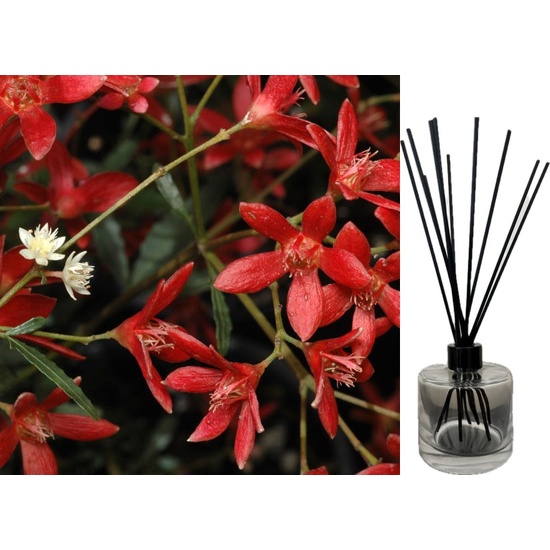 Christmas Bush - Reed Diffuser