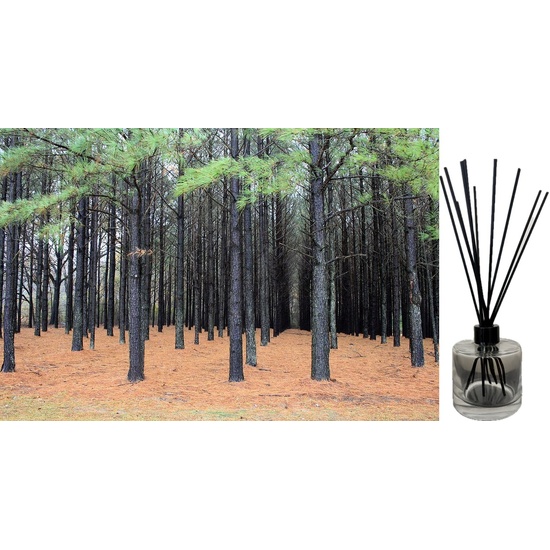 Exotic Woods - Reed Diffuser