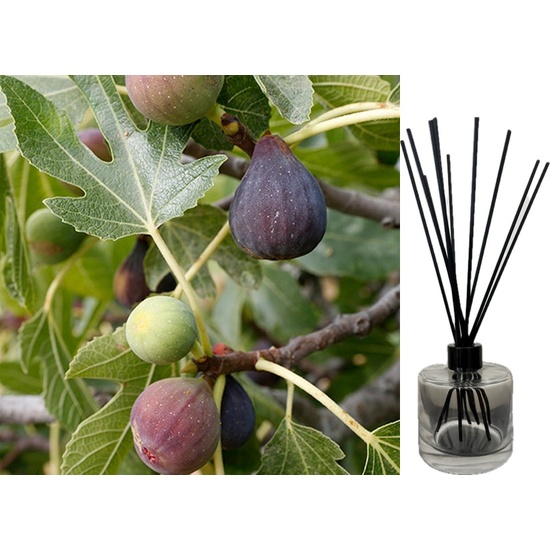 Fig Tree - Reed Diffuser