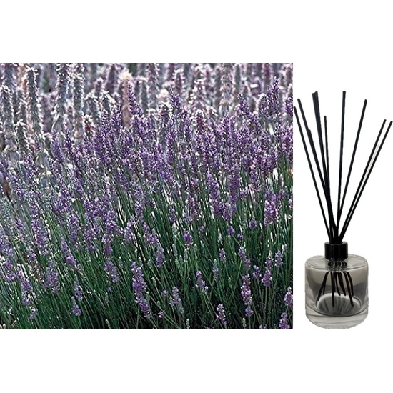 French Lavender - Reed Diffuser