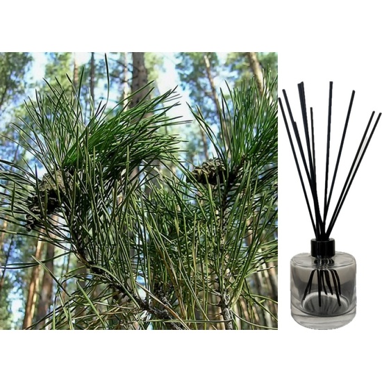 Fresh Pine & Fir Needle - Reed Diffuser