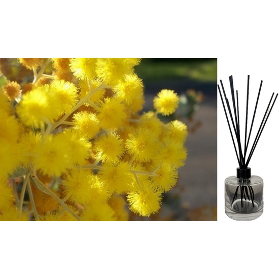 Golden Wattle - Reed Diffuser