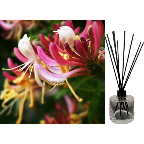 Honeysuckle Jasmine - Reed Diffuser