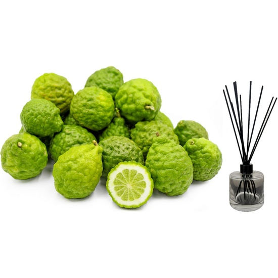 Kaffir Lime & Sandalwood - Reed Diffuser