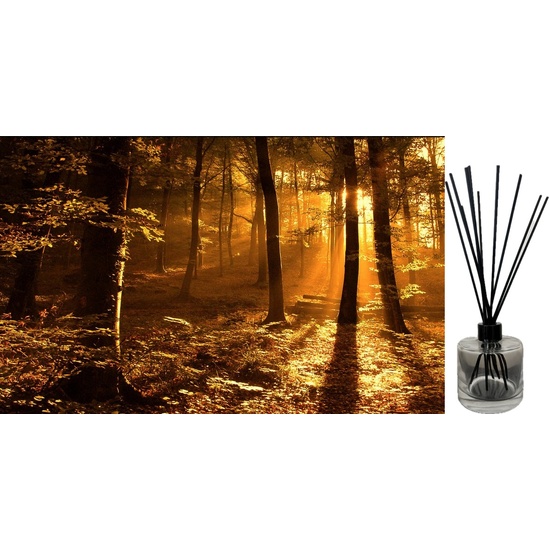 Leather & Oudh - Reed Diffuser