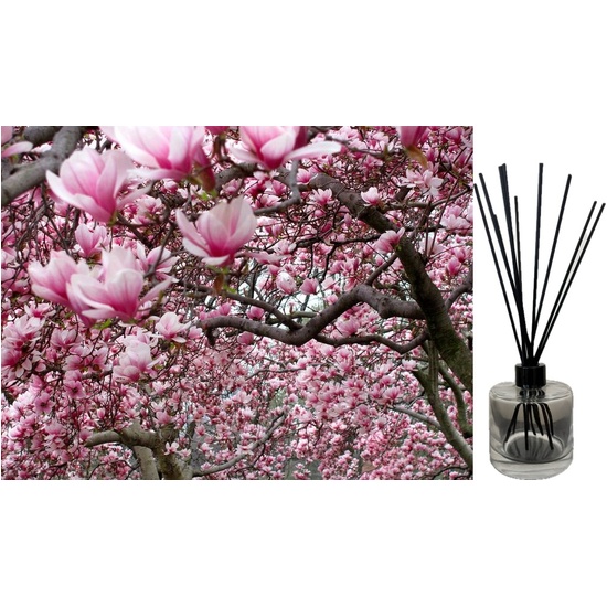 Magnolia in Bloom - Reed Diffuser