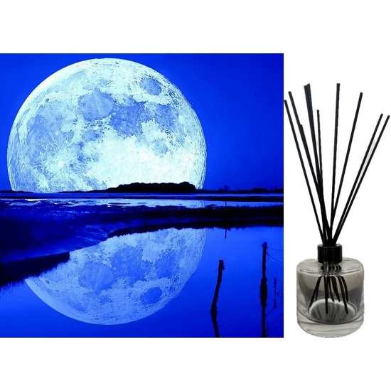 Moon Lake Musk - Reed Diffuser