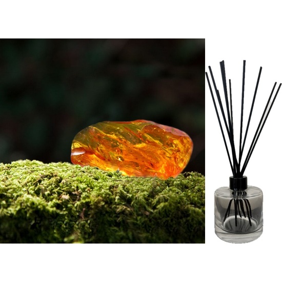 Oakmoss & Amber - Reed Diffuser