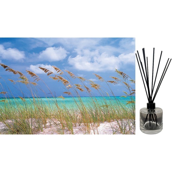 Ocean Breeze - Reed Diffuser