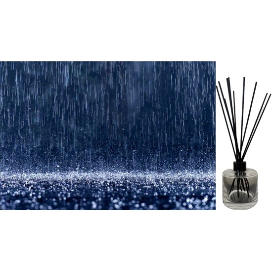 Rain Water - Reed Diffuser