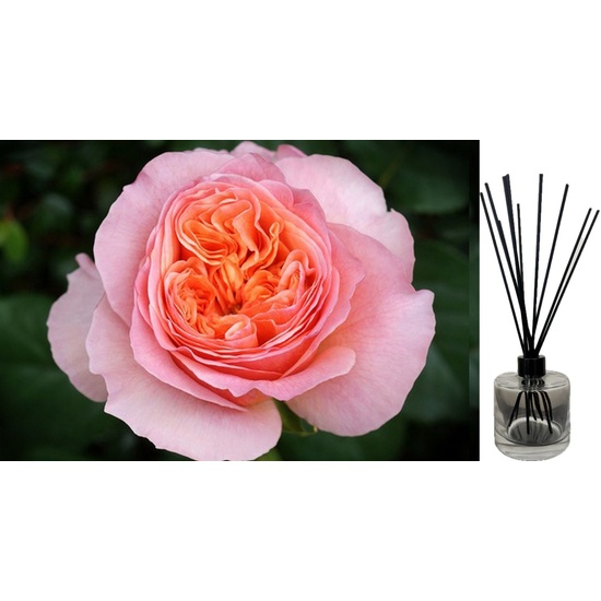 Rose Victorian - Reed Diffuser