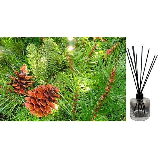 Scotch Pine - Reed Diffuser