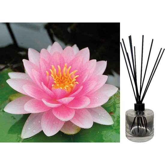 Sea Mist & Waterlily - Reed Diffuser