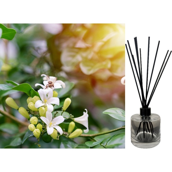 Sweet Jasmine & Bergamot - Reed Diffuser