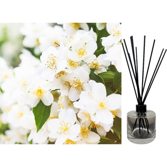 Satin Jasmine - Reed Diffuser