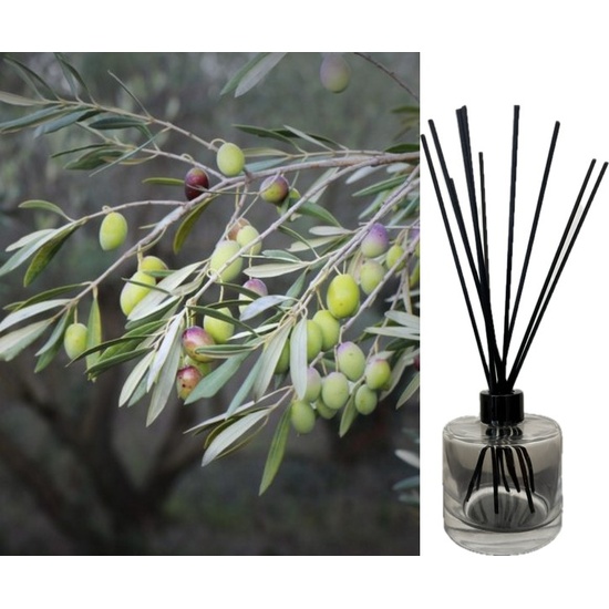 Thyme & Olive Leaf - Reed Diffuser