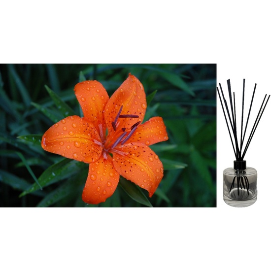 Tiger Lily & Patchouli - Reed Diffuser