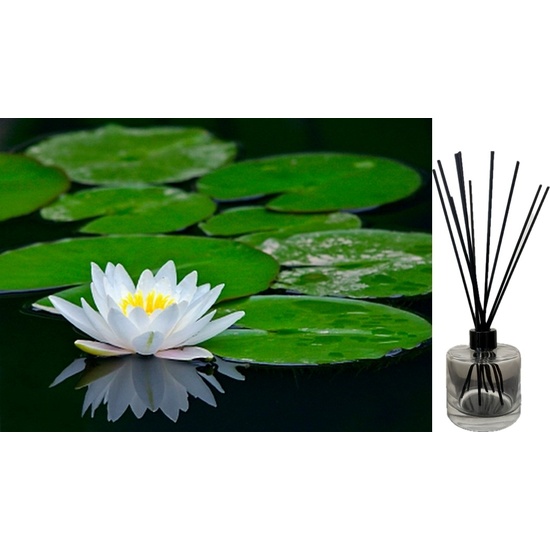 Waterlily - Reed Diffuser