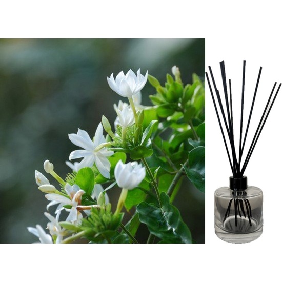 White Jasmine & Ivy - Reed Diffuser