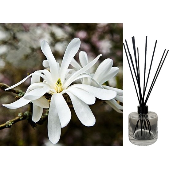 White Magnolia & Citrus - Reed Diffuser