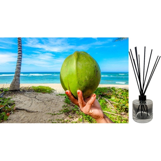 Coco Beach - Reed Diffuser