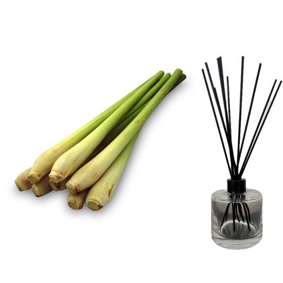 Wild Lemongrass - Reed Diffuser