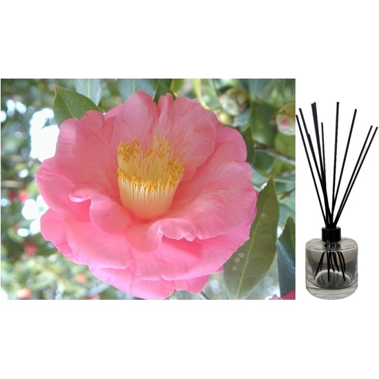 Camellia & Pink Lotus - Reed Diffuser