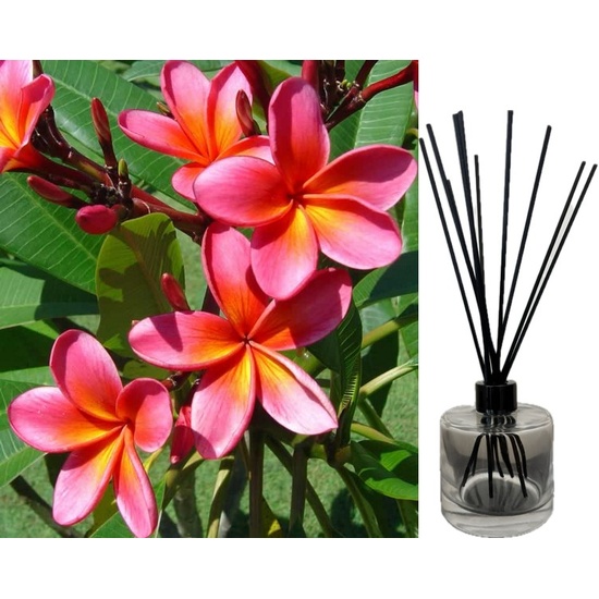 Hawaiian Frangipani - Reed Diffuser