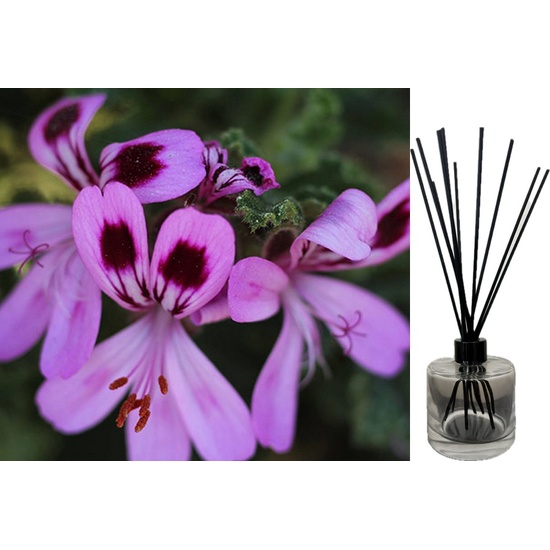 Rose Geranium & Bergamot - Reed Diffuser