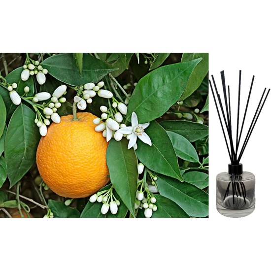 Sweet Neroli & Basil - Reed Diffuser