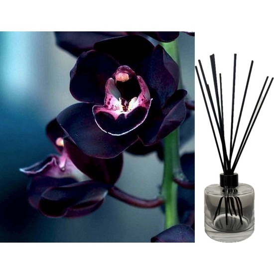 Ginger & Black Orchid - Reed Diffuser