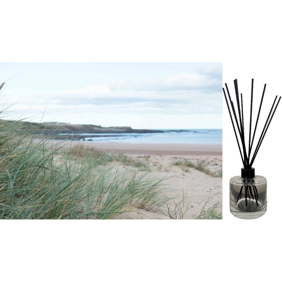 Wood Sage & Sea Salt - Reed Diffuser