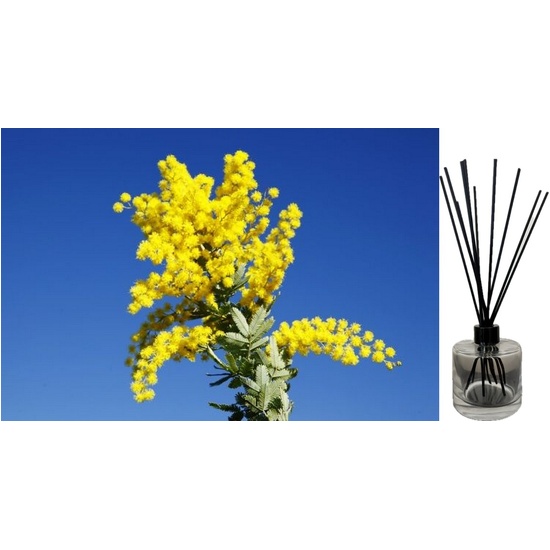 Australian Wattle - Reed Diffuser