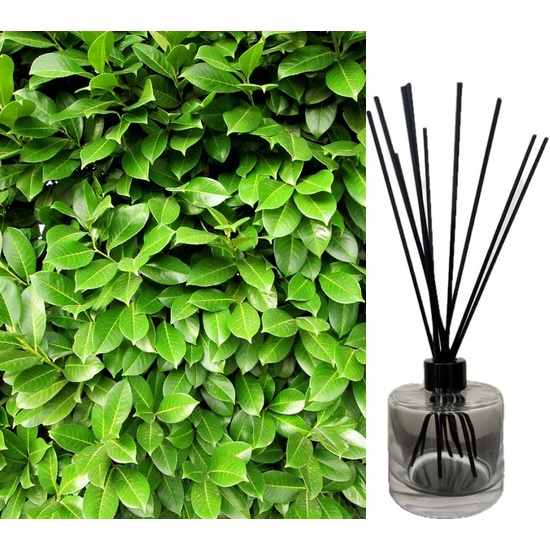 Fresh Garden Leaves - Reed Diffuser