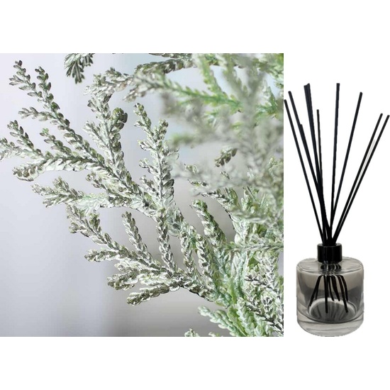 Frosted Cedar - Reed Diffuser