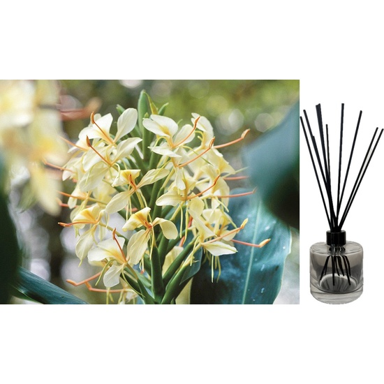 Ginger Lily - Reed Diffuser